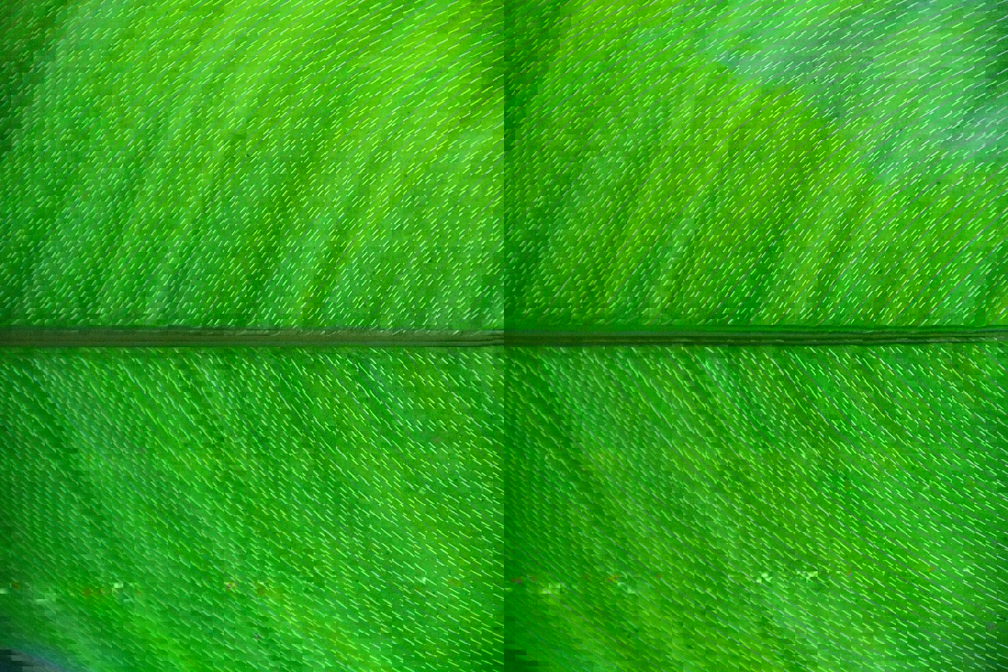 Care to join this little green movement?