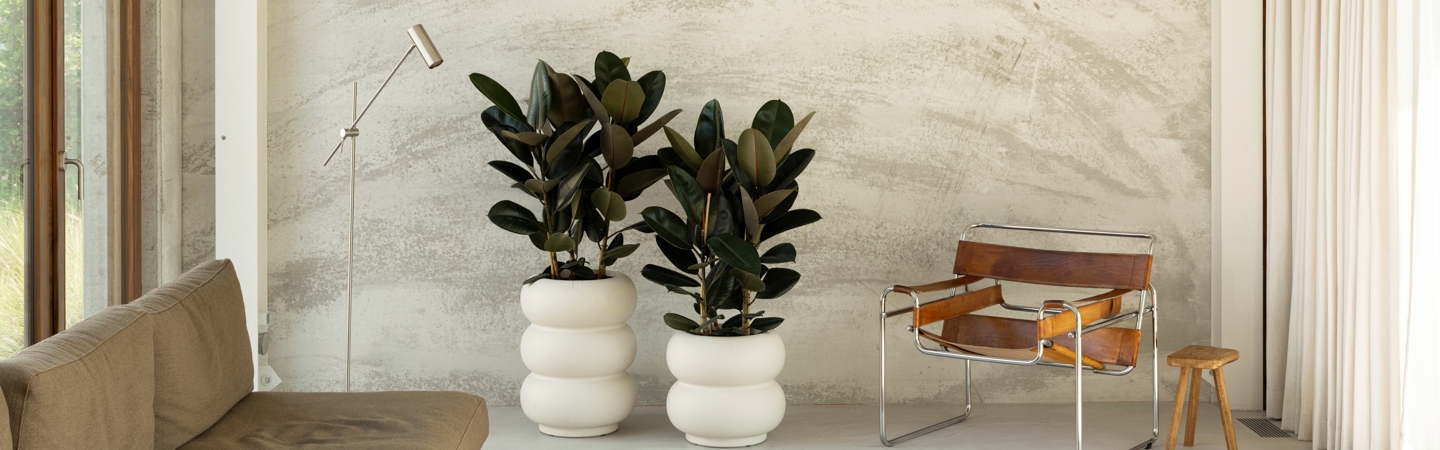 elho premium collection