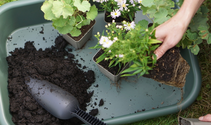 Curare e nutrire il tuo giardino in autunno 
