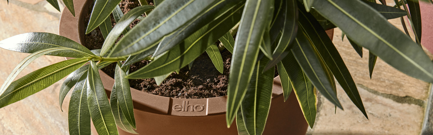 Grote bloempot voor buiten