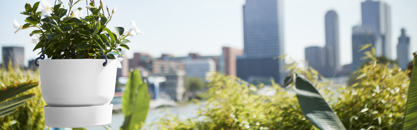 Blumentöpfe für den Balkon