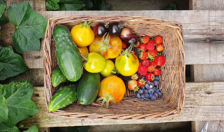 Floor Korte: Late summer and autumn in the vegetable garden