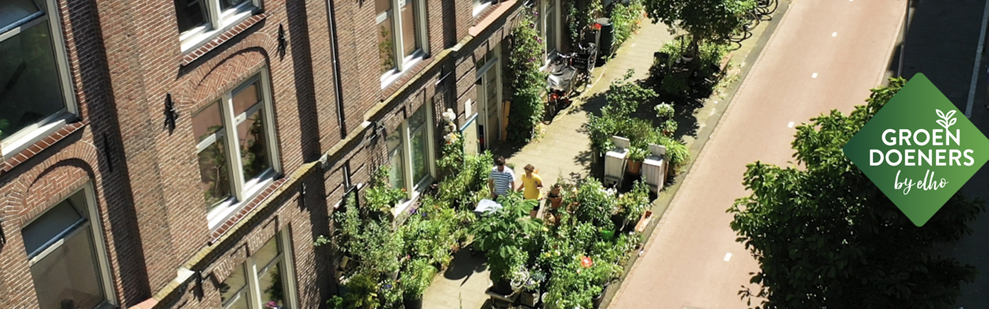 Alkmaar: winnaar Groendoeners najaar 2024