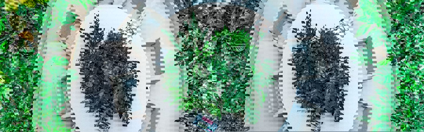 Certified B Corporation