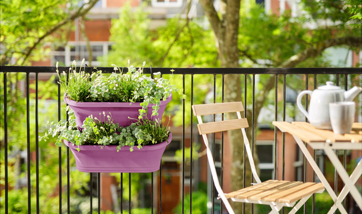 Hazlo tú mismo: iniciarse en la jardinería vertical