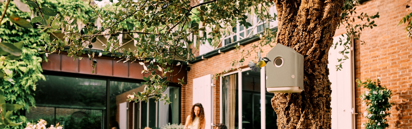 Alles wat je moet weten over een vogelhuisje in jouw tuin!