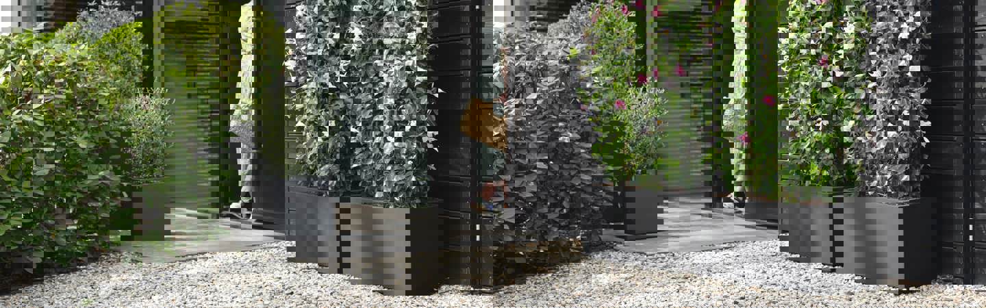 Längliche Blumentöpfe